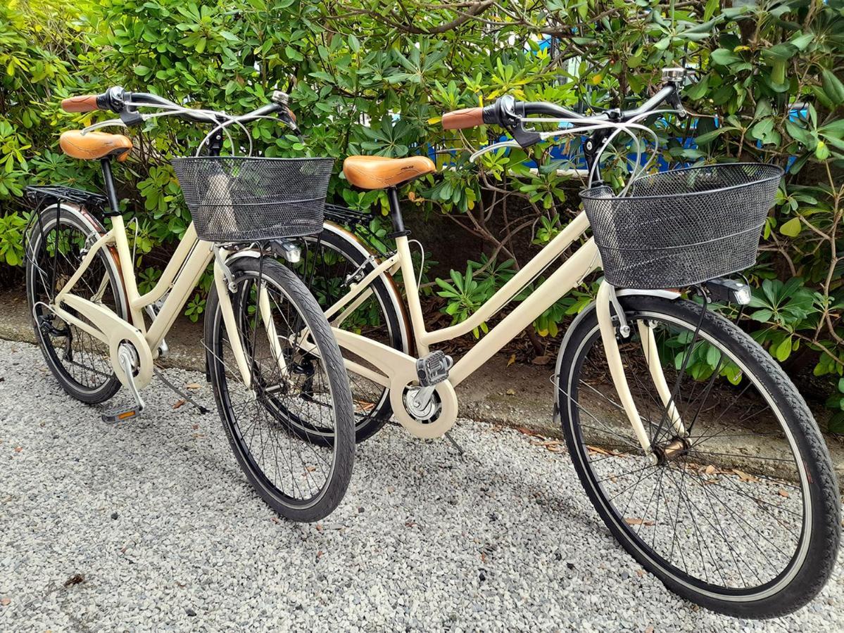 Apartmán Apt Luminoso, Spazioso Con Aria Condiz E Bici Viareggio Exteriér fotografie